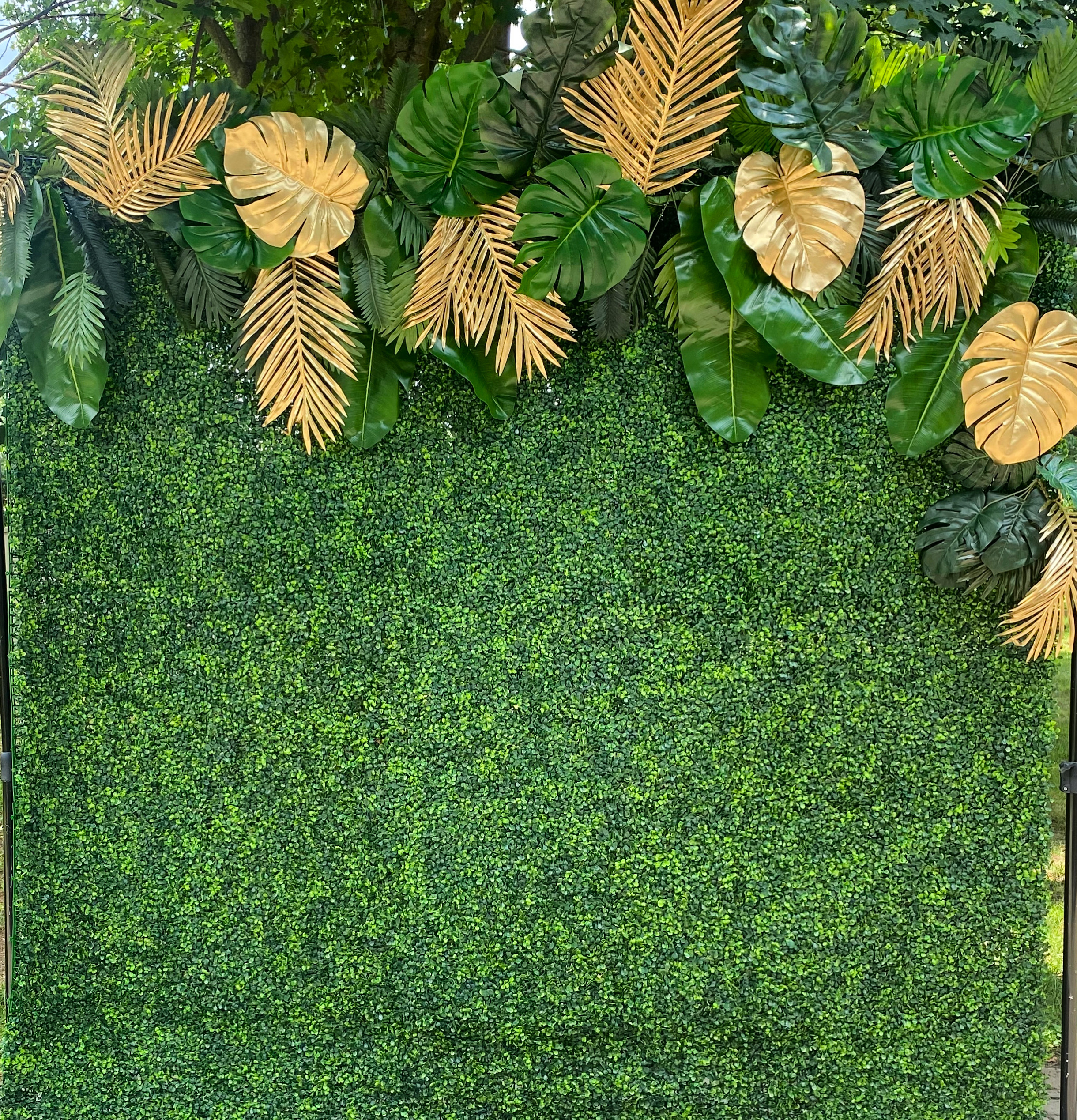 u